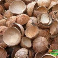 Cascas Coco Bahia